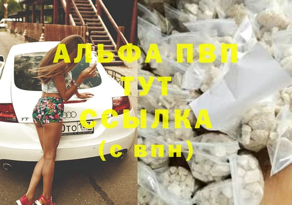 спиды Семикаракорск